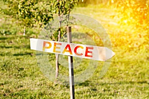 Defocus wooden sign arrow in green nature background. Word peace concept. Make decision which way to go. Walking on