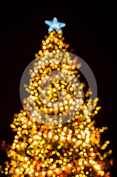 Defocused background of Christmas tree.