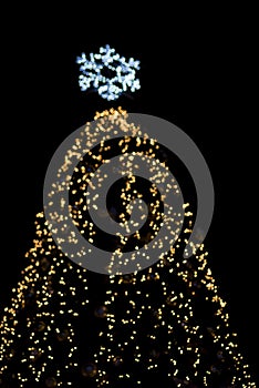 Defocused big christmas tree