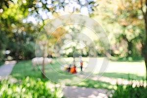 Defocused or blur with bokeh background of garden trees in sunny day