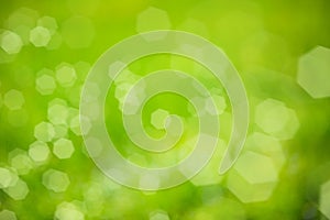 Defocused blurred nature green background with soft bokeh lights. Abstract natural texture background
