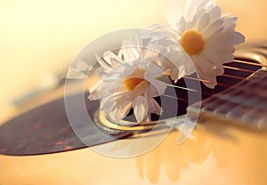 Defocused blurry sunny photo of acoustic guitar and white flower