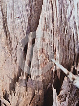 Defocused brocken wood texture wood surface