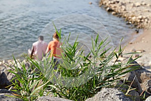 defocused couple sitting the the shore of an lake or river. Focus on grass in the foreground