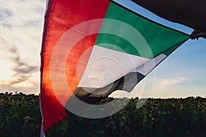 Defocused National Flag Of UAE Waving In The Wind sunset. Flag of United Arab Emirates on Sun Background. Sign of Dubai