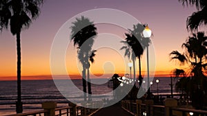 Defocused palms, twilight sky, California USA. Tropical beach sunset atmosphere. Los Angeles vibes.