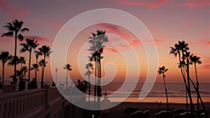 Defocused palms, twilight sky, California USA. Tropical beach sunset atmosphere. Los Angeles vibes.