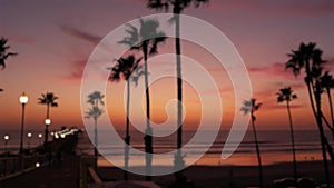 Defocused palms, twilight sky, California USA. Tropical beach sunset atmosphere. Los Angeles vibes.