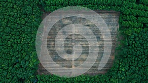 Deforestation - aerial view in tropical forest