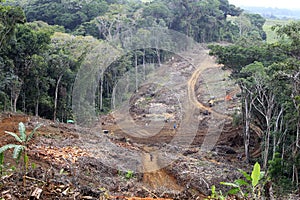 Deforestation in Altantica forest area