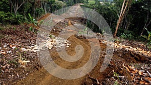 Deforestation in Altantica forest area