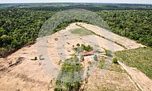 Deforestation of the Amazon rainforest