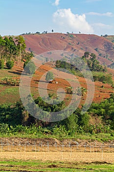 Deforestation are the anthropogenic source of atmospheric carbon dioxide emissions cause of climate change