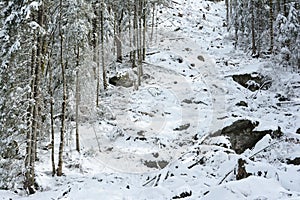 Deforestation in Carpathians Mountains in winter.