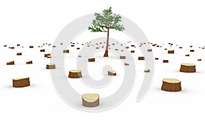 Deforestation concept