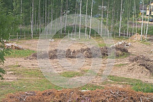 Deforestation and deforesting for the construction of a house on a construction site