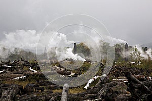 Deforestación a ecológico contaminación 