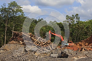 Deforestation environmental problem