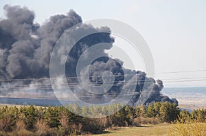 Deforestation, fires and smoke - horizontal photo