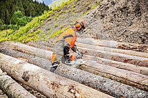 Deforestation, forest cutting concept. Woodcutter lumberjack is man chainsaw tree. Lumberman work wirh chainsaw in