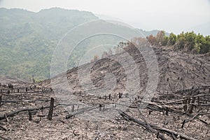 Deforestation, after forest fire, natural disaster, Laos