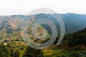 Deforestation at the frontier to Bwindi Nationalpark in Uganda