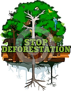 Deforestation jungle vector illustration. Vector Rainforest destroyed with animals.