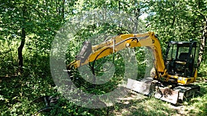 Deforestation. JCB Digger In a Forest