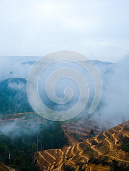 Deforestation land at mountain area with low clouds after rain in Gua Musang, Kelantan, Malaysia