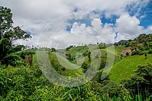 Deforestation on the mountain for agricultural at Tak province i