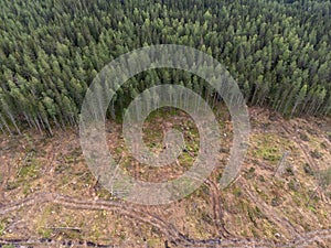 Deforestation, newly cut down forest, clear felled area in Sweden. Drone aerial photography.