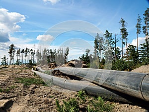 Deforestation. The pipes were laid in place of the felled trees.