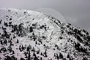 Deforestation in Romania in winter