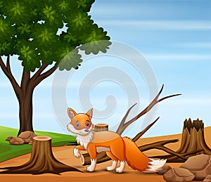 Deforestation scene with a fox illustration