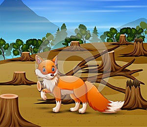 Deforestation scene with starving fox