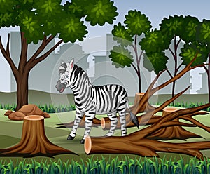 Deforestation scene with zebra and timber illustration