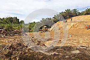 Deforestation in a tropical rainforest