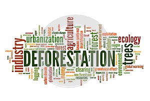 Deforestation word cloud