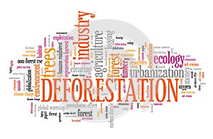 Deforestation word cloud