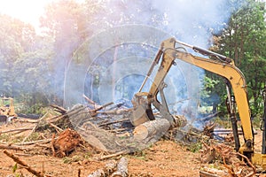 A deforestation a work on a tractor manipulator uproot trees which lifts logs to prepare land for the housing