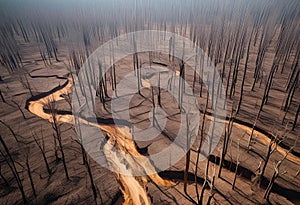 Deforested area leading to ecological degradation.AI Generated