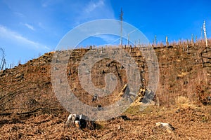 Deforested hillside with tree stumps under clear blue sky
