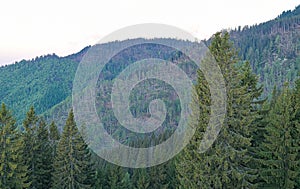 deforested mountain area