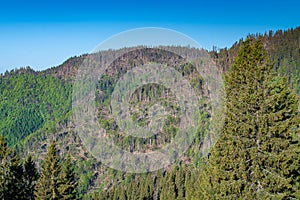 deforested mountain area