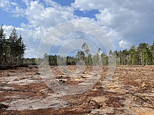 Deforesting around Vorden