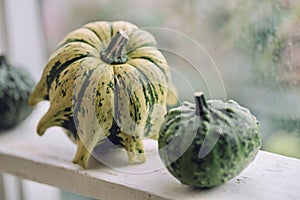 Deform squash on the window deck