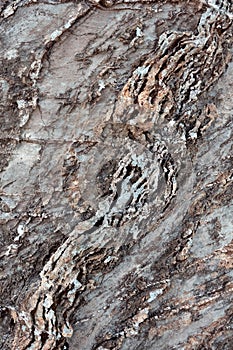 Deformed and curved layers in rock
