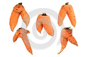 Deformed and Twisted Carrot Vegetables