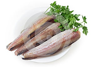 Defrosted uncooked carcasses of Alaska pollock with parsley on dish