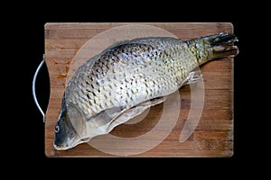 defrosting carp fish on wooden cutting board isolated on black background. flat lay or above looking